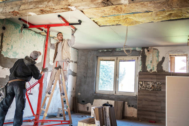 Best Eco-Friendly Insulation in Bourg, LA