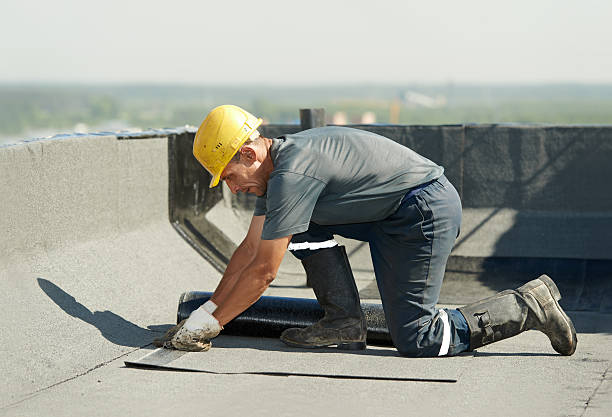Best Cellulose Insulation in Bourg, LA
