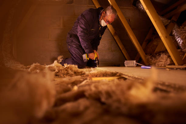 Best Insulation Maintenance and Repair in Bourg, LA